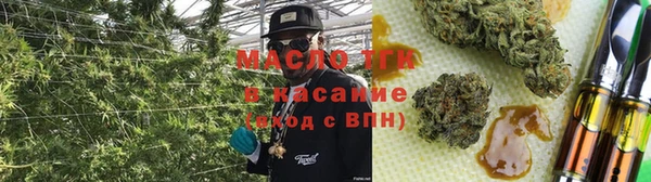 apvp Алзамай